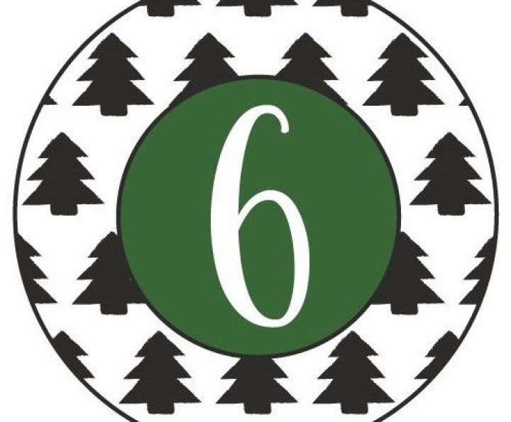 Zahl 6