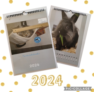 Tierheimkalender 2024, Titelblatt und eine Beispielseite auf weißem Untergrund mit goldenen Punkten