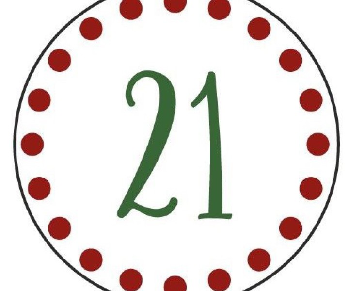 Hund Apollo zwischen weihnachtlichen Dekorations-Gegenständen