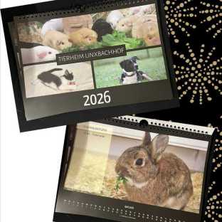 Tierheimkalender 2025, Titelblatt