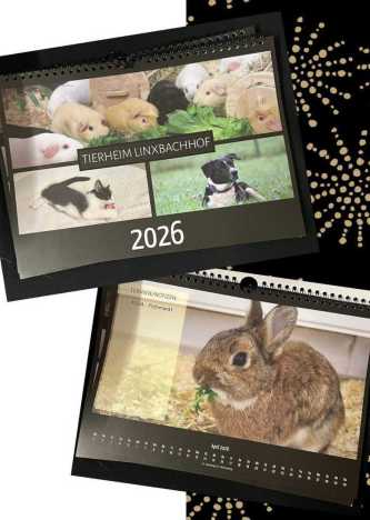 Bild des Instagram-Profils des Tierheim Linxbachhof