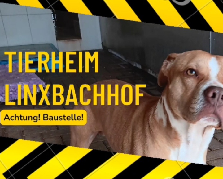 Blaues Schild mit der Beschriftung "Die große Linxbach-Challenge" und "Top, die Wette gilt ab: JETZT!"