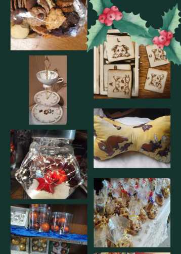 Terriermix Struppi in seinem Außenzwinger mit offenem und freundlichen Blick