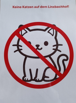 Tierheimhund Struppi mit einem Partyhütchen aus Pappe mit der Aufschrift "Let's party!"