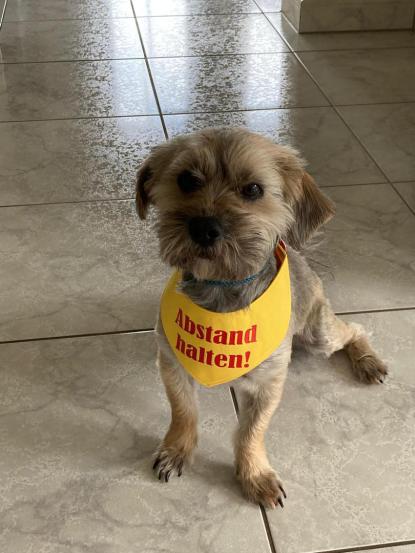 Weihnachtliches Plakat der angekündigten Veranstaltung