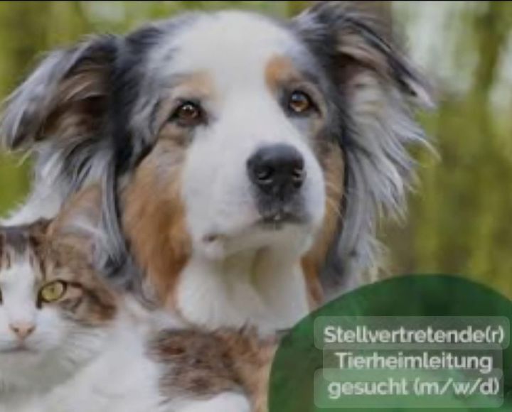 Blaues Schild mit der Beschriftung "Die große Linxbach-Challenge" und "Top, die Wette gilt ab: JETZT!"