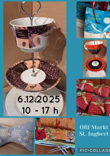 Terriermix Struppi in seinem Außenzwinger mit offenem und freundlichen Blick