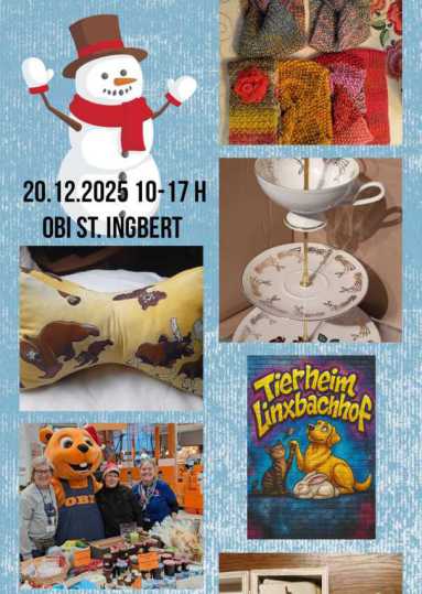 Terriermix Struppi in seinem Außenzwinger mit offenem und freundlichen Blick